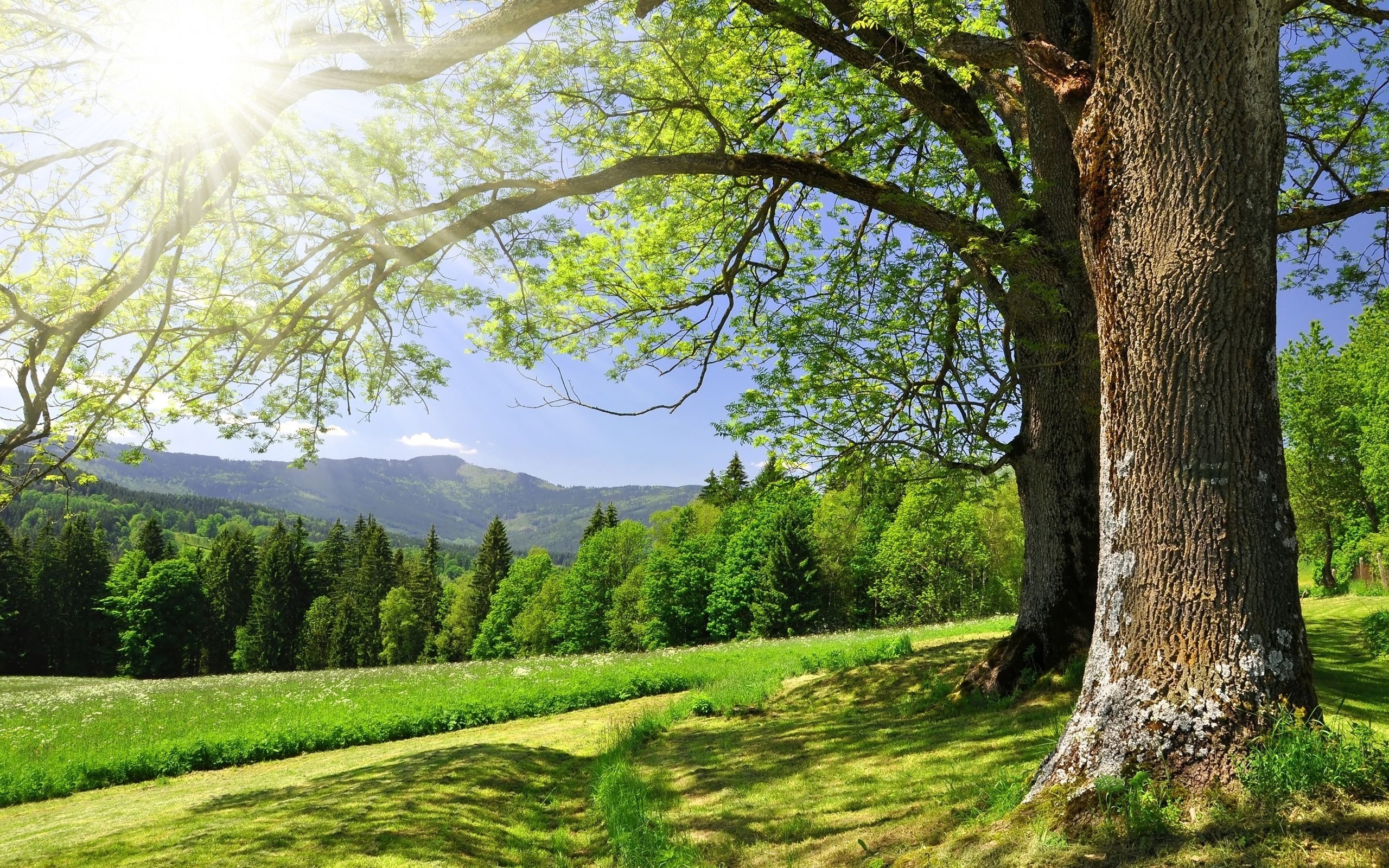 Read more about the article Hvad er forkastelig innovation (bidʿah)?